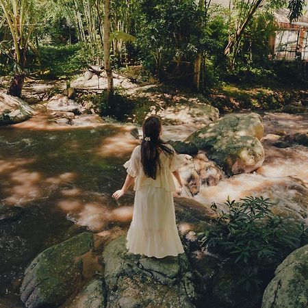 เดอะริเวอร์ แม่กำปอง The River Maekampong Chiang Mai Ban Pok Nai Luaran gambar