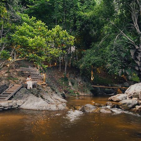 เดอะริเวอร์ แม่กำปอง The River Maekampong Chiang Mai Ban Pok Nai Luaran gambar